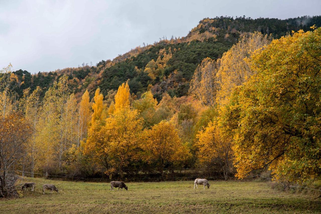 Casa Rural Besoli Areu ภายนอก รูปภาพ